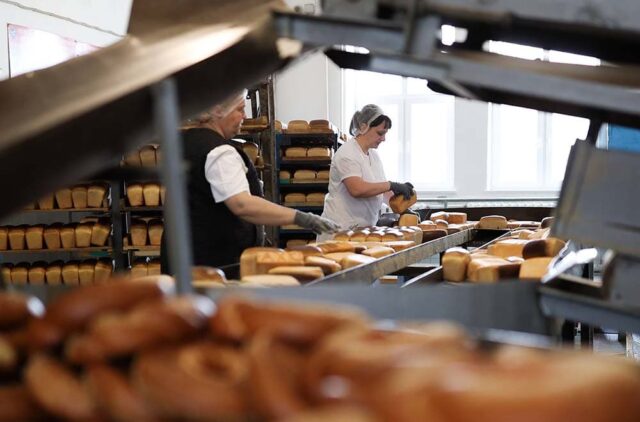 Eco-stone tunnel oven for pizza 02